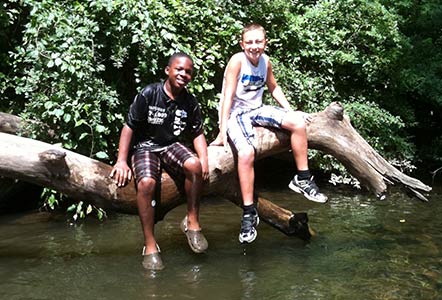 friends sitting on a tree